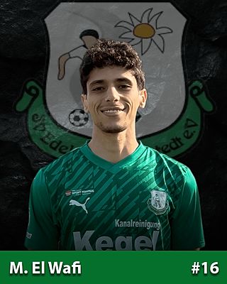 Mohamed El Wafi