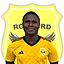 Boubacar Sow