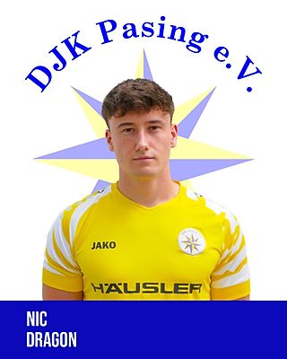 Nic Dragon