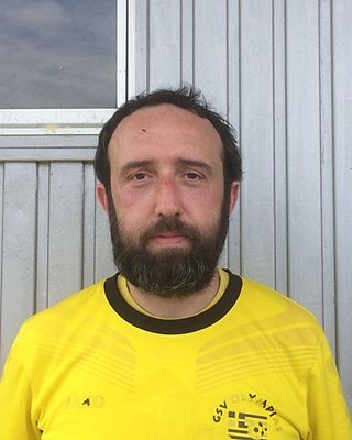 Stefanos Vandoulakis