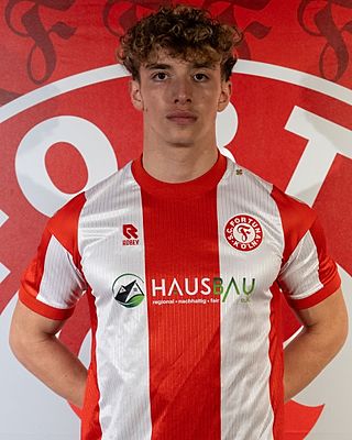 Francesco Santacroce-Di Gregorio