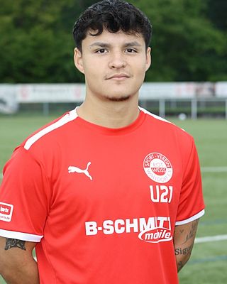 Nicolas Herrera Thiele