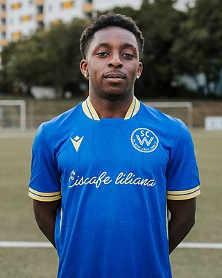 Ba-Ilengu Prince Bayuba