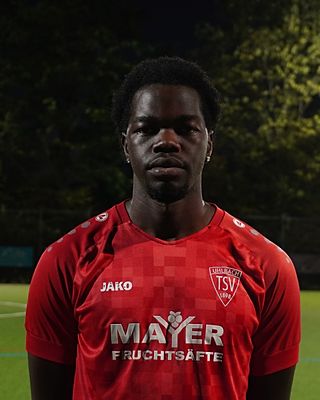 Shawn Travis Ogayo
