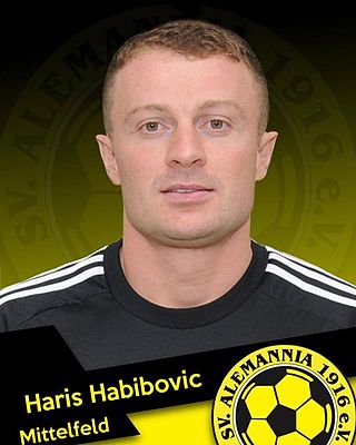 Haris Habibovic