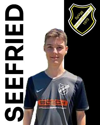 Janik Seefried