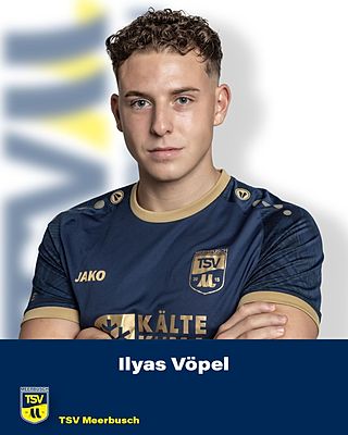 Ilyas Vöpel