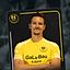 Dustin Kaniecki