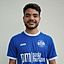 Amr M Hamdi