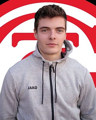 Almedin Bajraktarevic