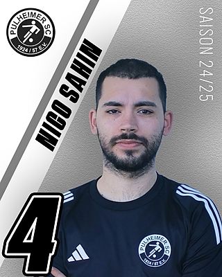 Nico Sahin