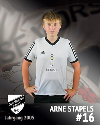 Arne Stapels