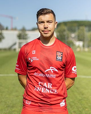 Pedro Mendes Alves