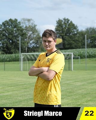 Marco Striegl