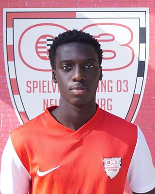 Mohamed Lamin Sanneh Dampha