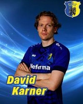 David Karner