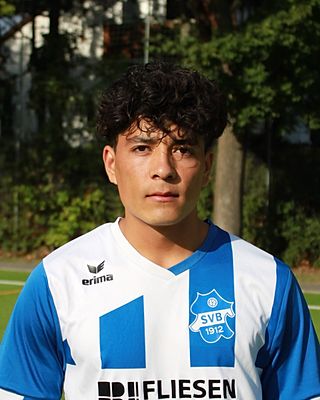 Mohammad Reza Folladi