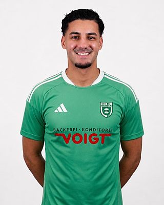Mohamed Rabia