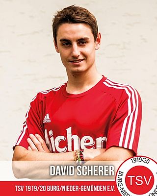 David Scherer