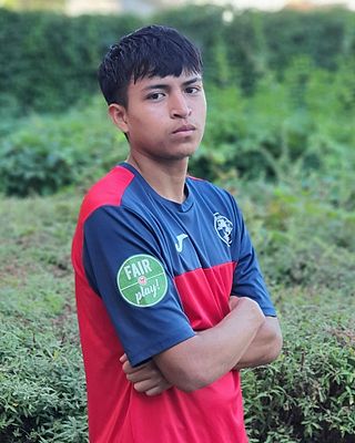 Raul Monteagudo Colan