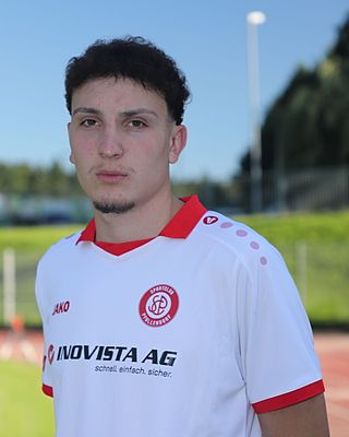 Jan Babic