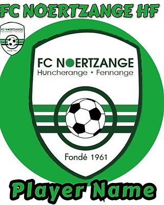 Stephane CONTENTE RAINHO