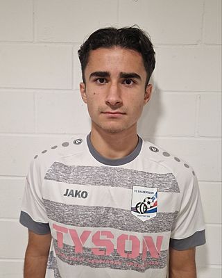 Anton Mathias Torster