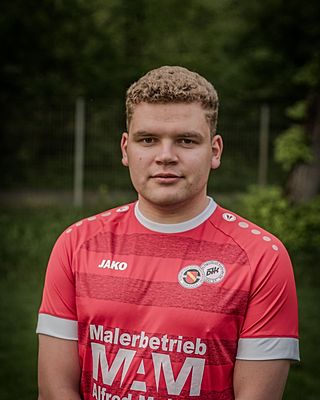 Luca Dario Schnaible