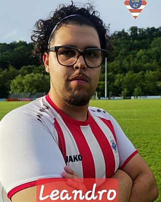 Leandro Coelho Fernandes