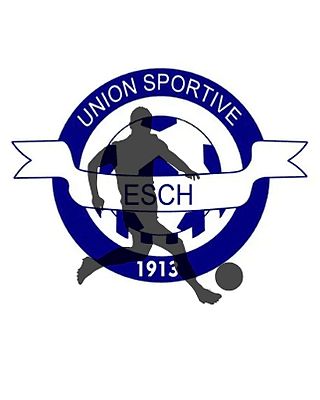 Wilson Tavares De Brito