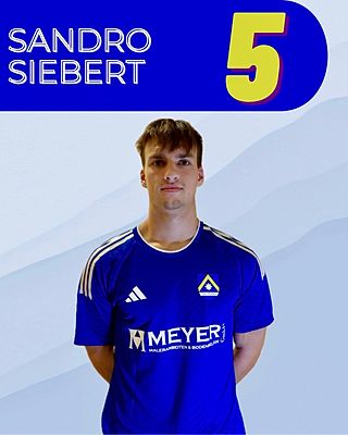 Sandro Siebert