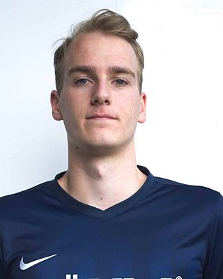 Johann-Heinrich Theilen