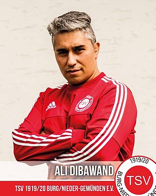 Ali Dibawand