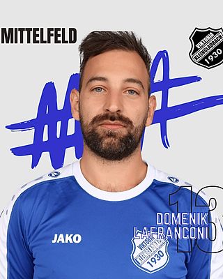 Domenik Lafranconi