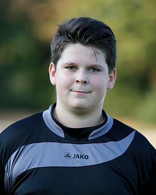 Aaron Alexander Gularte Wertheim