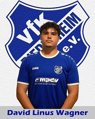 David Linus Wagner