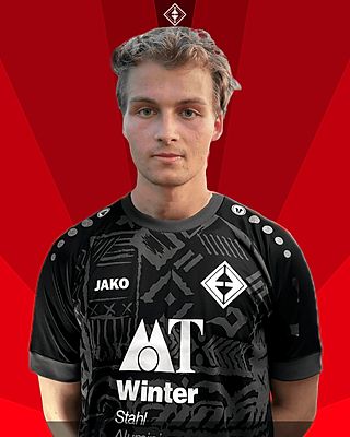 Theo Wernicke