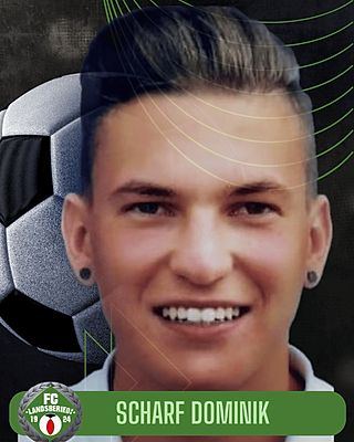 Dominik Scharf