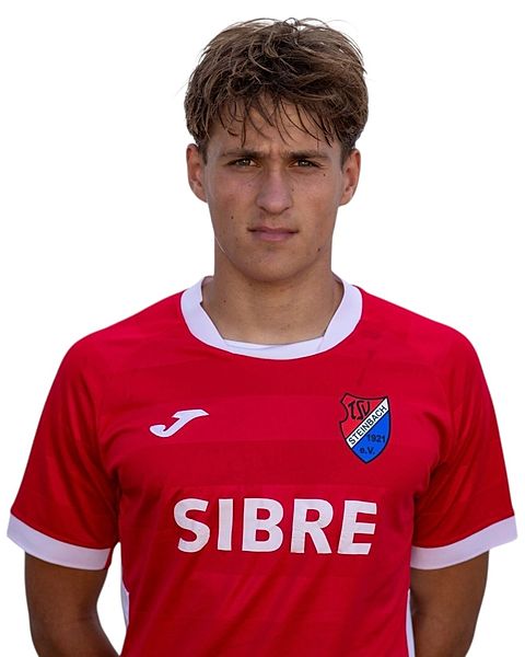 Amin Husovic