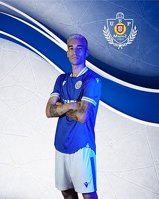 Pedro Miguel Teixeira Agrela