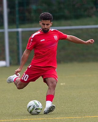 Joel Moretti Martins