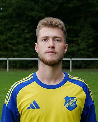 Henri Georg Hentschel