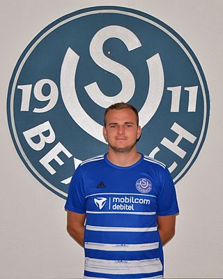 Max Steinmetz