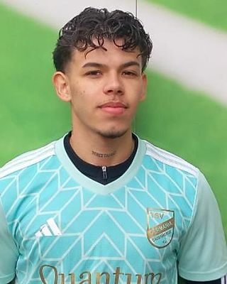 Edwar Alexis Llanes Torres