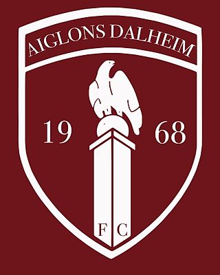 Aroldo Velloso Dias Junior