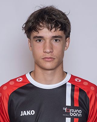 Emil Weidner-Pallantza