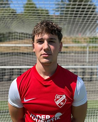 Sidney Willems