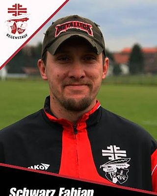 Fabian Schwarz