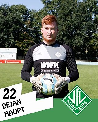 Dejan Haupt