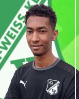 Mohamed Alameldin Mohamed Abdalla